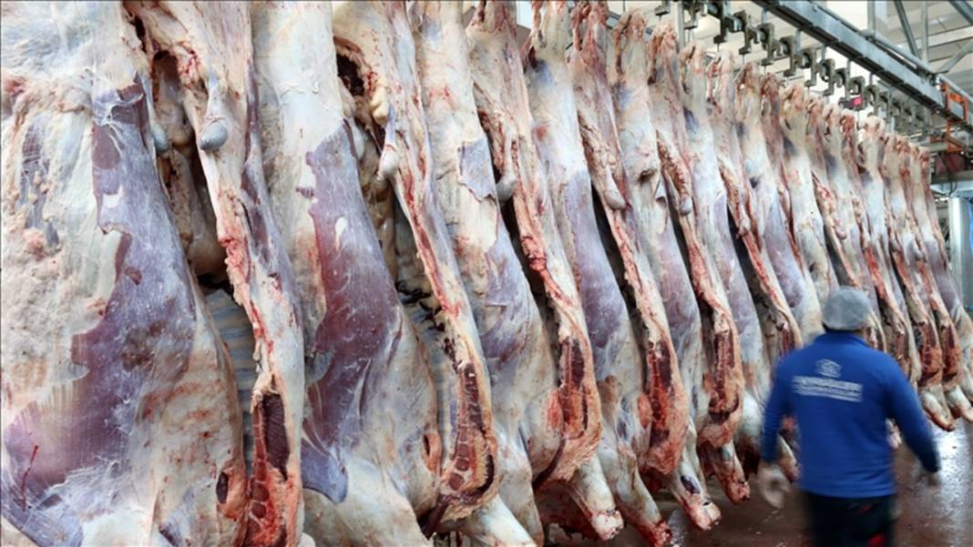 Etin yanına bunu eklemek şartmış! İşte uzmanından et tüketiminin altın kuralları 7